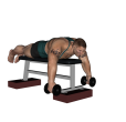 Posterior Raise - Flat Dumbbell Feet Up